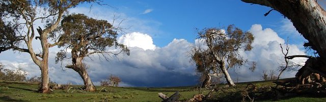 DSC_7326_monaro.jpg