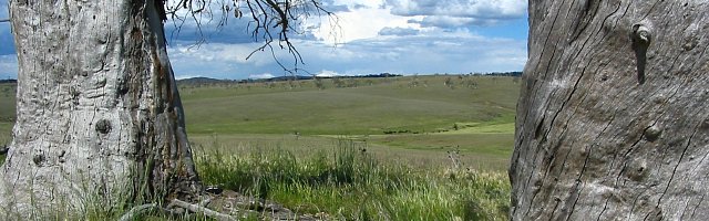 img_9325_monaro.jpg