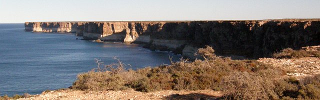 p7241177_outback.jpg