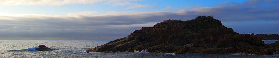 DSC_8050.jpg