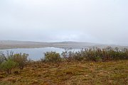 6197_wilderness-outback.jpg