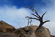 6205_wilderness-outback.jpg