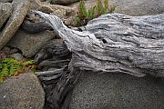 6220_wilderness-outback.jpg