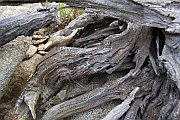 6221_wilderness-outback.jpg