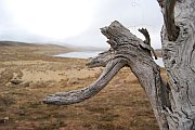 6239_wilderness-outback.jpg