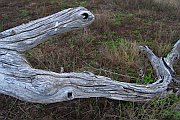 6263_wilderness-outback.jpg