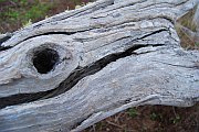 6267_wilderness-outback.jpg