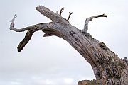 6286_wilderness-outback.jpg