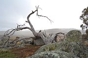 6293_wilderness-outback.jpg