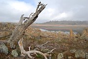 6304_wilderness-outback.jpg