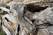 6323_wilderness-outback.jpg