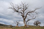 6324_wilderness-outback.jpg