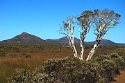 6870_wilderness-outback.jpg