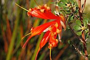 6882_wilderness-outback.jpg