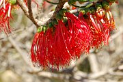 6887_wilderness-outback.jpg