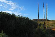 6926_wilderness-outback.jpg