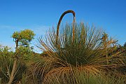 6950_wilderness-outback.jpg