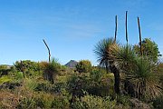 6958_wilderness-outback.jpg