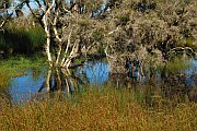 7013_wilderness-outback.jpg