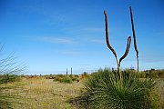 7054_wilderness-outback.jpg