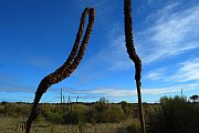 7058_wilderness-outback.jpg