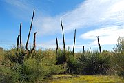 7068_wilderness-outback.jpg