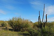 7069_wilderness-outback.jpg