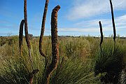 7074_wilderness-outback.jpg