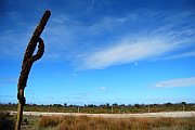 7094_wilderness-outback.jpg