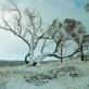 kosciuszko_snow_02.jpg