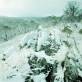 kosciuszko_snow_05.jpg
