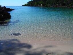 bittangabee-bay-3086