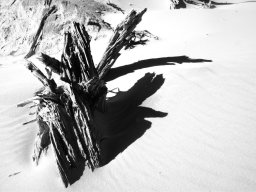 thurra-dunes-9314