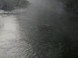 brogo-river-angledale